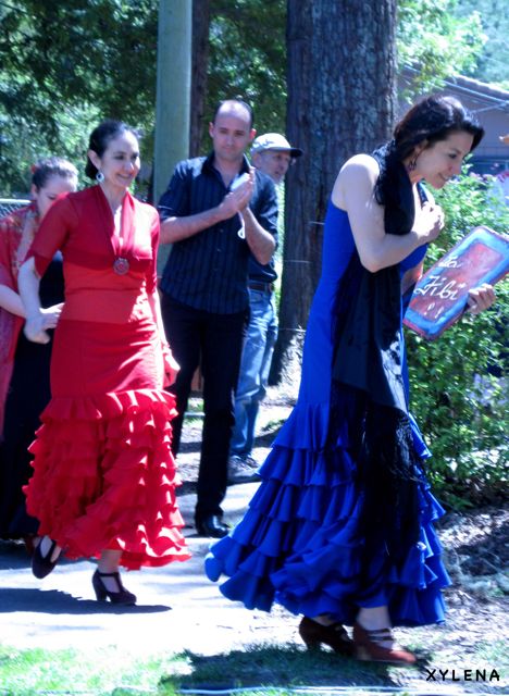 flamenco 1