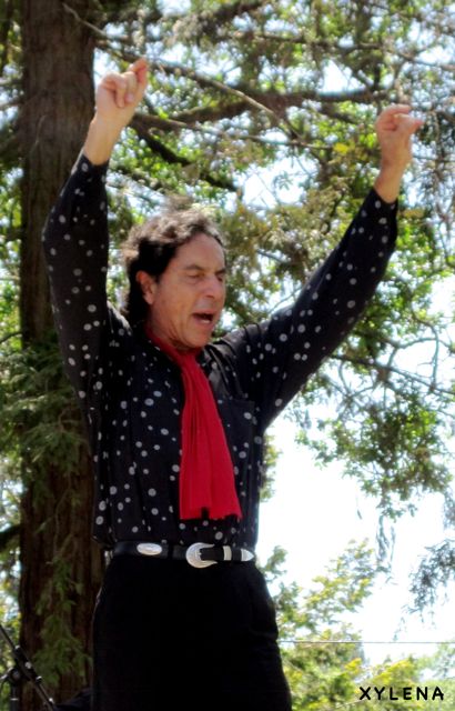 flamenco 4