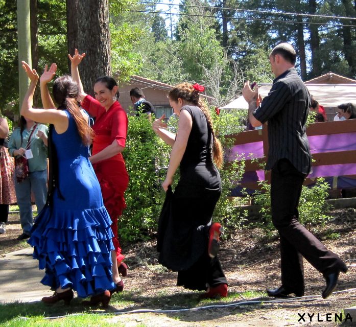 flamenco 5